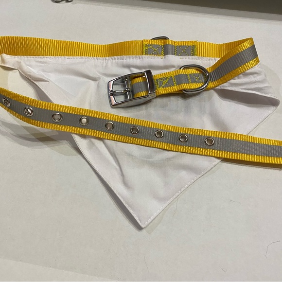 โ๏ธSOLDโ๏ธ๐HP๐๐Pets First, NFL,Green Bay Packers, Reflective Dog Collar & Leash - Picture 8 of 14